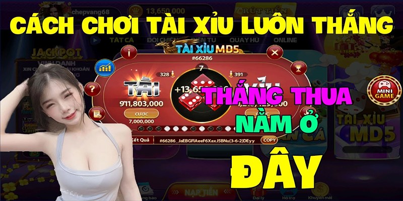 Mẹo đánh Tài xỉu 188bet